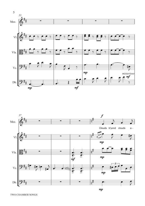 Lydia Kakabadse: Two Chamber Songs – for mezzo-soprano and “alternative” string quartet (NXP085) Cheap - Image 5