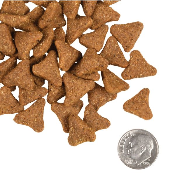 Fromm Gold Ancient Grains Dry Dog Food Sale - Image 2