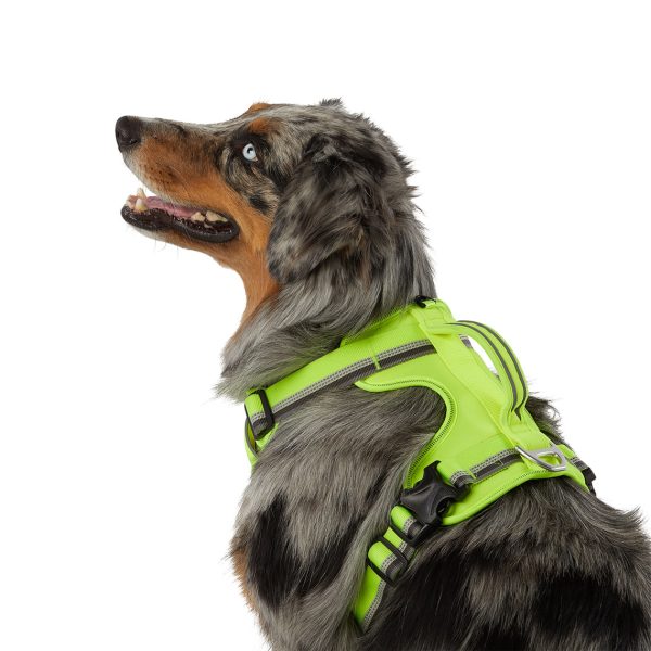 Arcadia Trail Yellow Neoprene Sport Harness for Dogs Cheap - Image 4