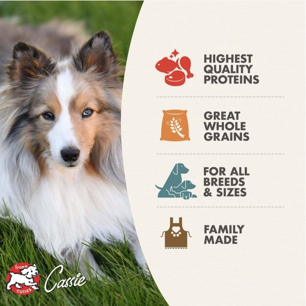 Fromm Gold Ancient Grains Dry Dog Food Sale - Image 3