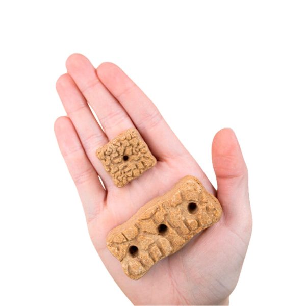 Earthborn Holistic Earthbars Turkey Mini Crunchy Dog Treats on Sale - Image 3
