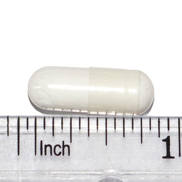 Only Natural Pet Probiotic Blend Digestive Support Capsules For Dogs and Cats Online - Image 3