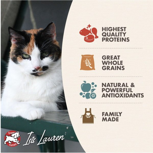 Fromm Adult Gold Dry Cat Food For Cheap - Image 4