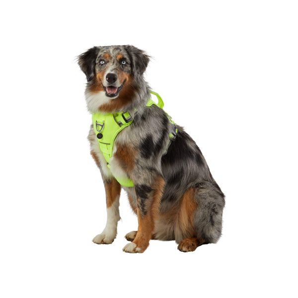 Arcadia Trail Yellow Neoprene Sport Harness for Dogs Cheap