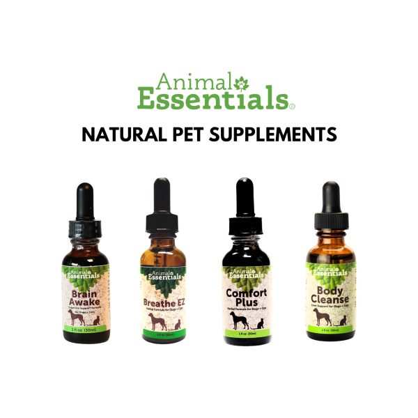 Animal Essentials Healthy Gut Herbal Prebioitc Liquid for Dogs & Cats on Sale - Image 3