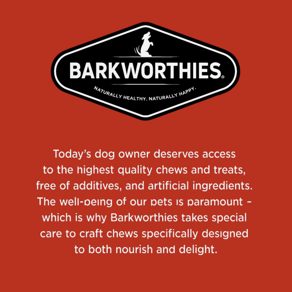 Barkworthies Naturally Smoked Braided Pork Pizzle Dog Chews Hot on Sale - Image 2