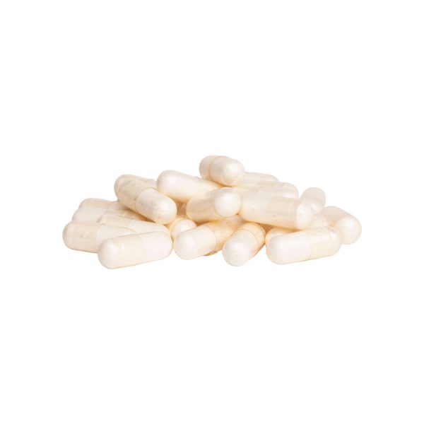 Only Natural Pet Probiotic Blend Digestive Support Capsules For Dogs and Cats Online - Image 2