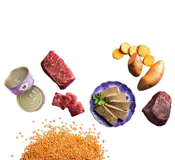 Fromm Four-Star Wet Cat Food Pâté Online now - Image 4