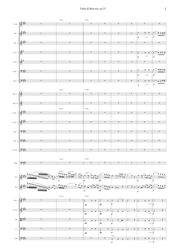 Franz & Karl Doppler: Valse di Bravura, op. 33 – arranged for two flutes and orchestra by Santi Escura (NXP126) For Cheap - Image 3