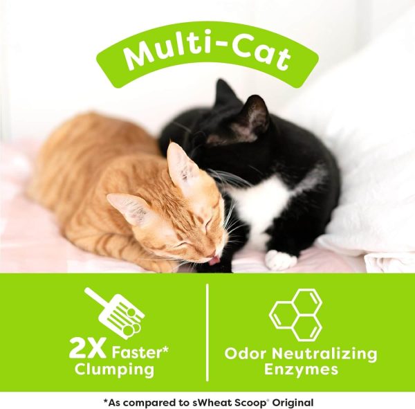 Swheat Scoop Natural Wheat Litter Multi-Cat Supply - Image 5