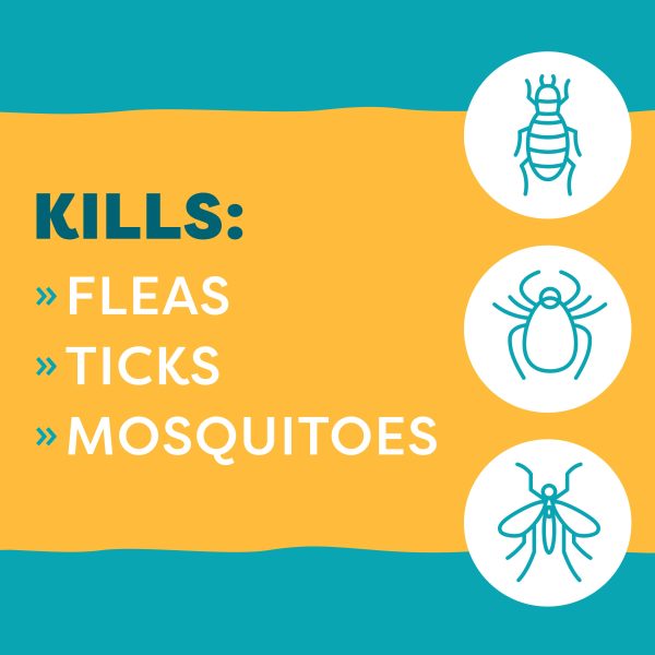 Only Natural Pet EasyDefense Flea & Tick Yard Spray Hot on Sale - Image 2