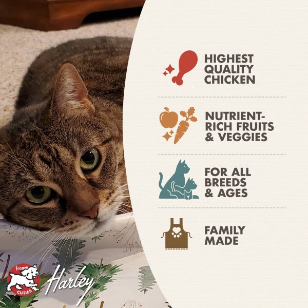 Fromm Four Star Chicken A La Veg Grain Inclusive Recipe Dry Cat Food Online Sale - Image 5