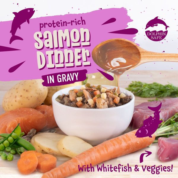 Earthborn Holistic Grain-Free Wet Canned Cat Food Fashion - Image 4