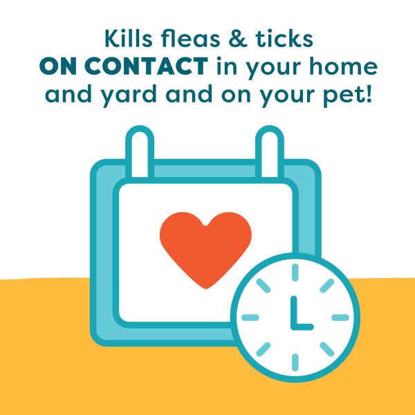 Only Natural Pet All-in-One Flea Remedy Powder for Dogs & Cats 8oz Fashion - Image 5
