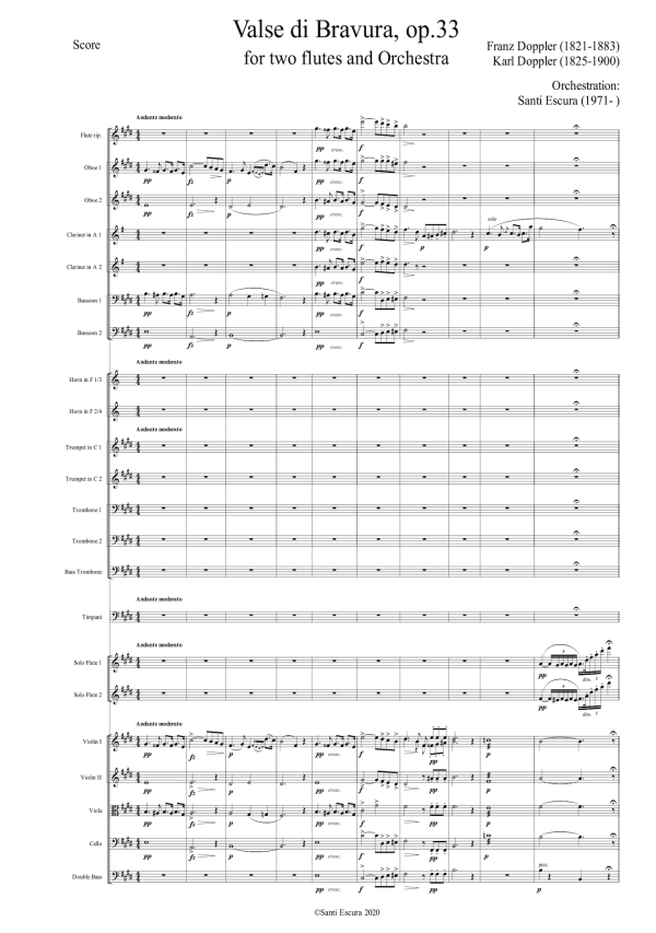 Franz & Karl Doppler: Valse di Bravura, op. 33 – arranged for two flutes and orchestra by Santi Escura (NXP126) For Cheap