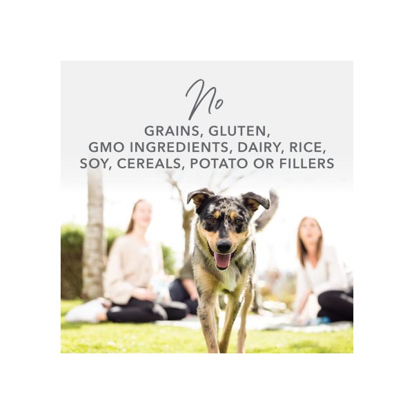 K9 Natural Freeze Dried Mussel Treats for Dogs Cheap - Image 4