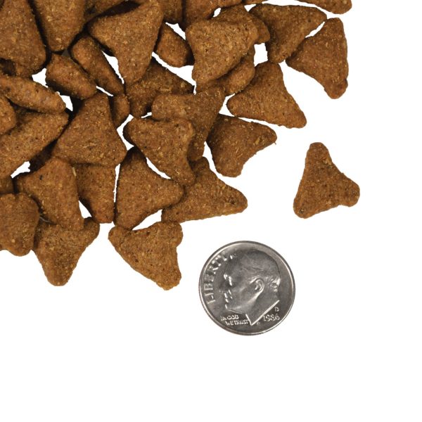 Fromm Four Star Whitefish & Potato Grain Inclusive Recipe Dry Dog Food For Discount - Image 2