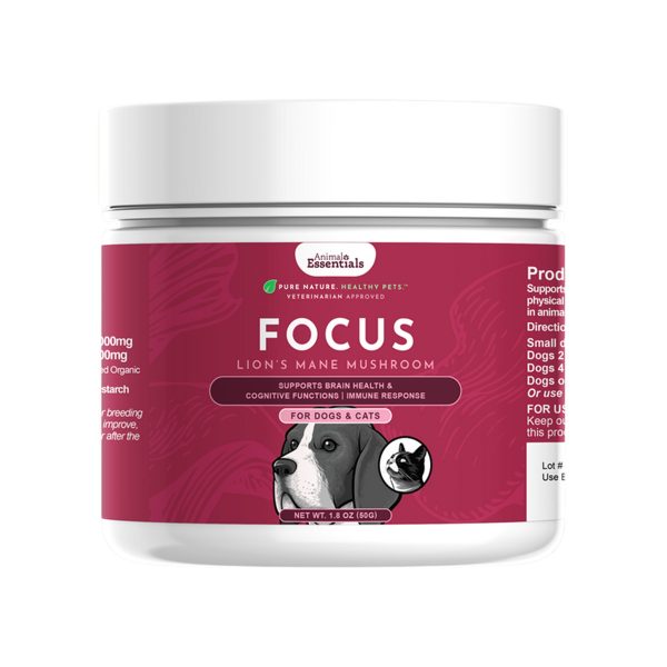 Animal Essentials FOCUS Lion s Mane Mushroom Powder for Dogs & Cats Online