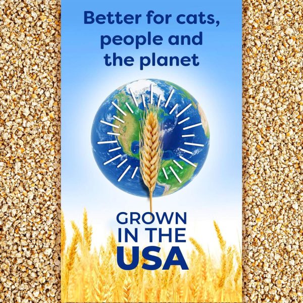 Swheat Scoop Natural Wheat Litter Multi-Cat Supply - Image 3