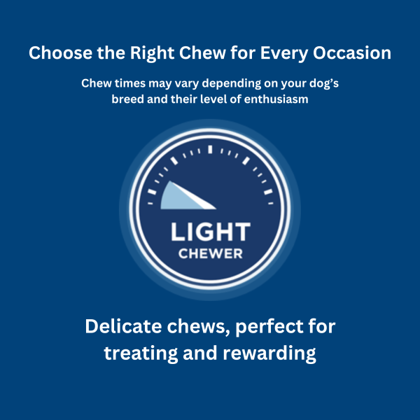 Barkworthies Beef Gullet Strips for Dogs Online - Image 3