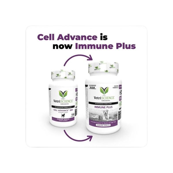 VetriScience Immune Plus Immunity Support for Dogs Discount - Image 5