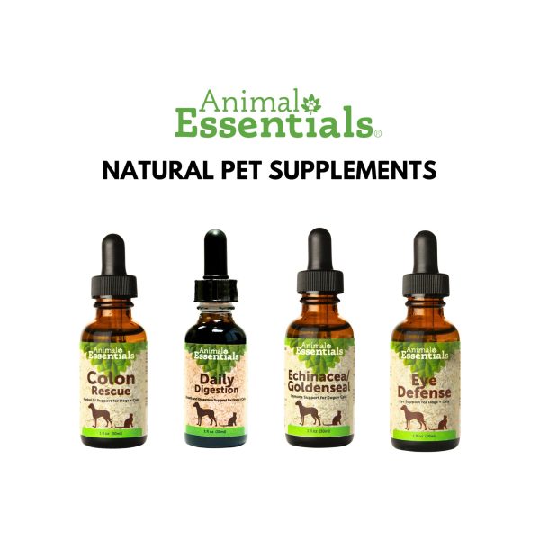 Animal Essentials Echinacea Goldenseal Immune Support for Dogs & Cats Cheap - Image 3