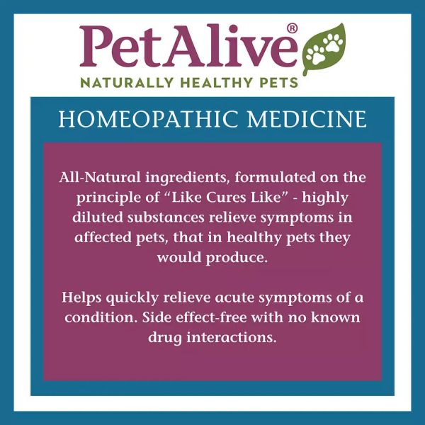 PetAlive Allergy Itch Ease on Sale - Image 4