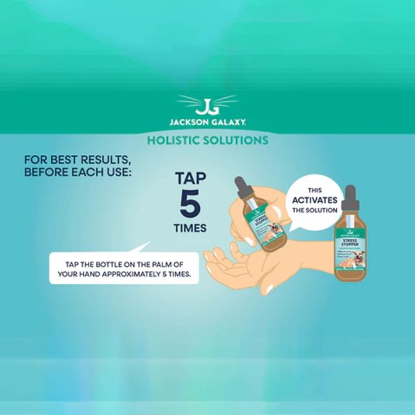 Jackson Galaxy Obsession Remedy for Cats Online Hot Sale - Image 4
