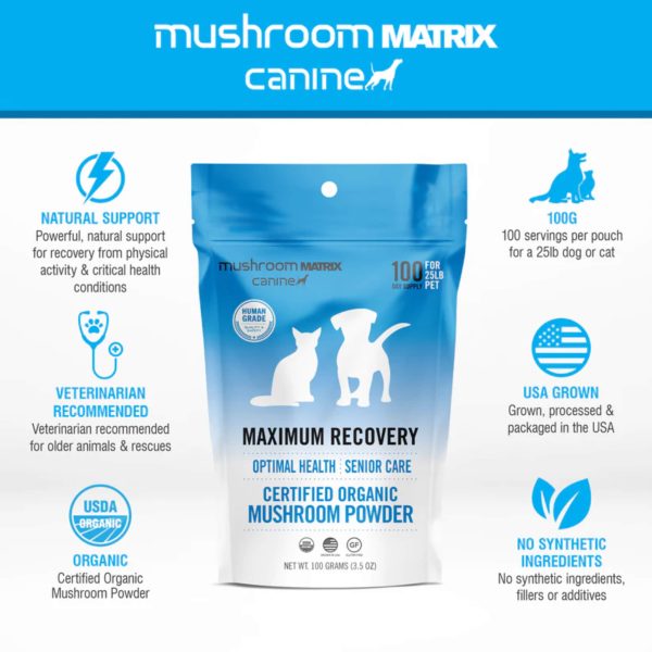 Canine Matrix MRM Recovery Organic Mushroom Senior Supplement for Dogs Online Hot Sale - Image 5