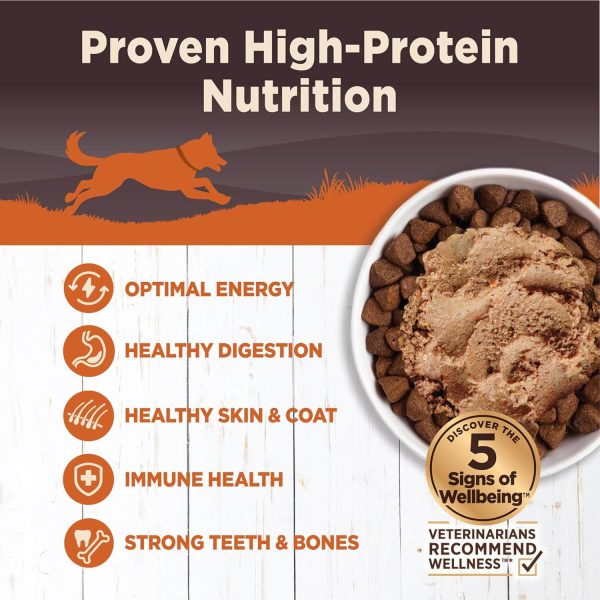 Wellness Grain-Free CORE Canned Dog Food Cheap - Image 4