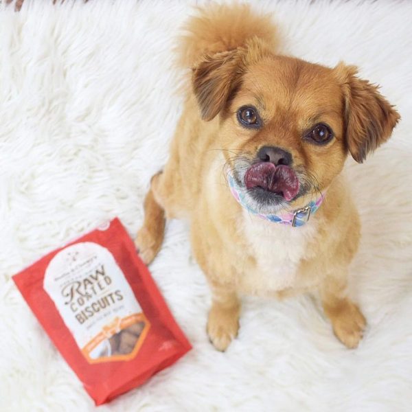 Stella & Chewy s Raw Coated Biscuit Freeze Dried Dog Treat Sale - Image 4