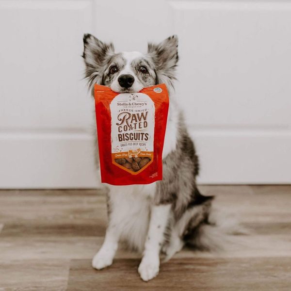 Stella & Chewy s Raw Coated Biscuit Freeze Dried Dog Treat Sale - Image 3